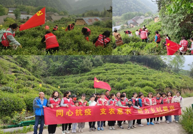 图1.jpg
