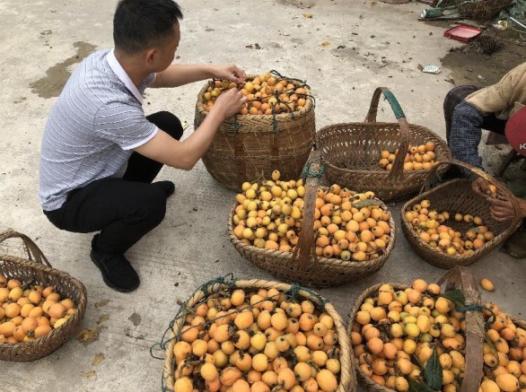图1.jpg